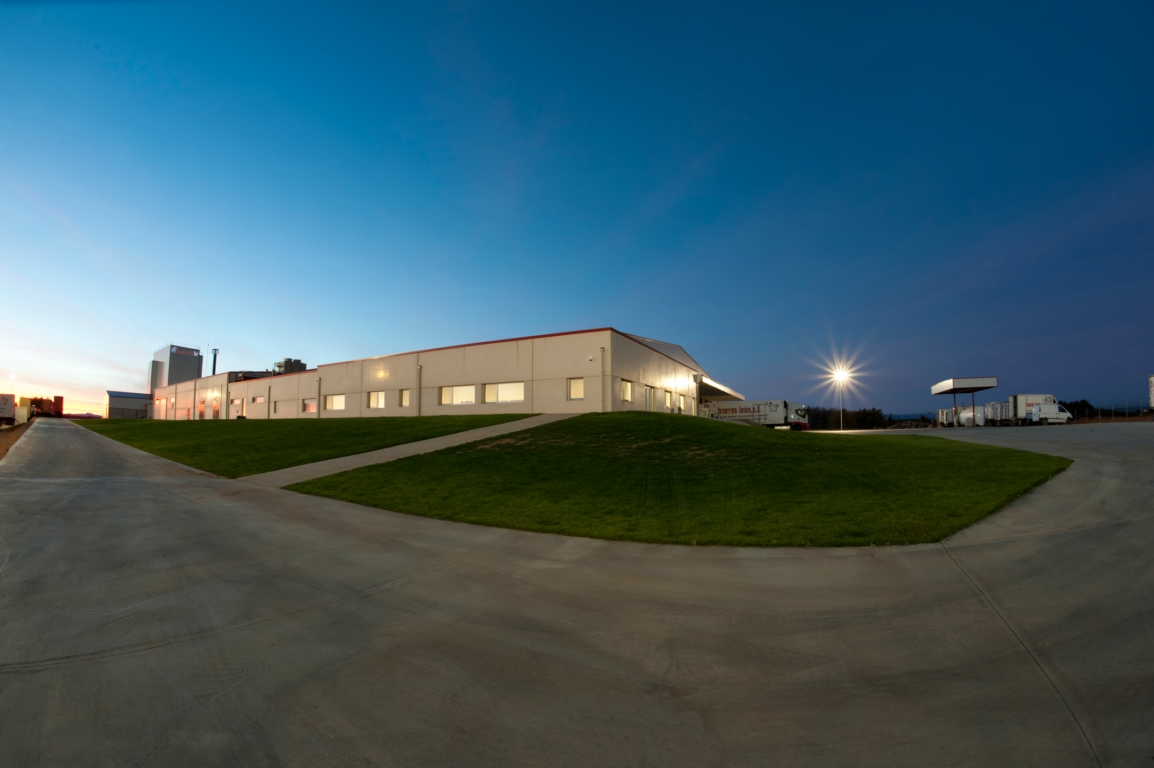 Imagen representativa de Huevos León