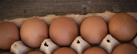 Imagen representativa del slide Productos